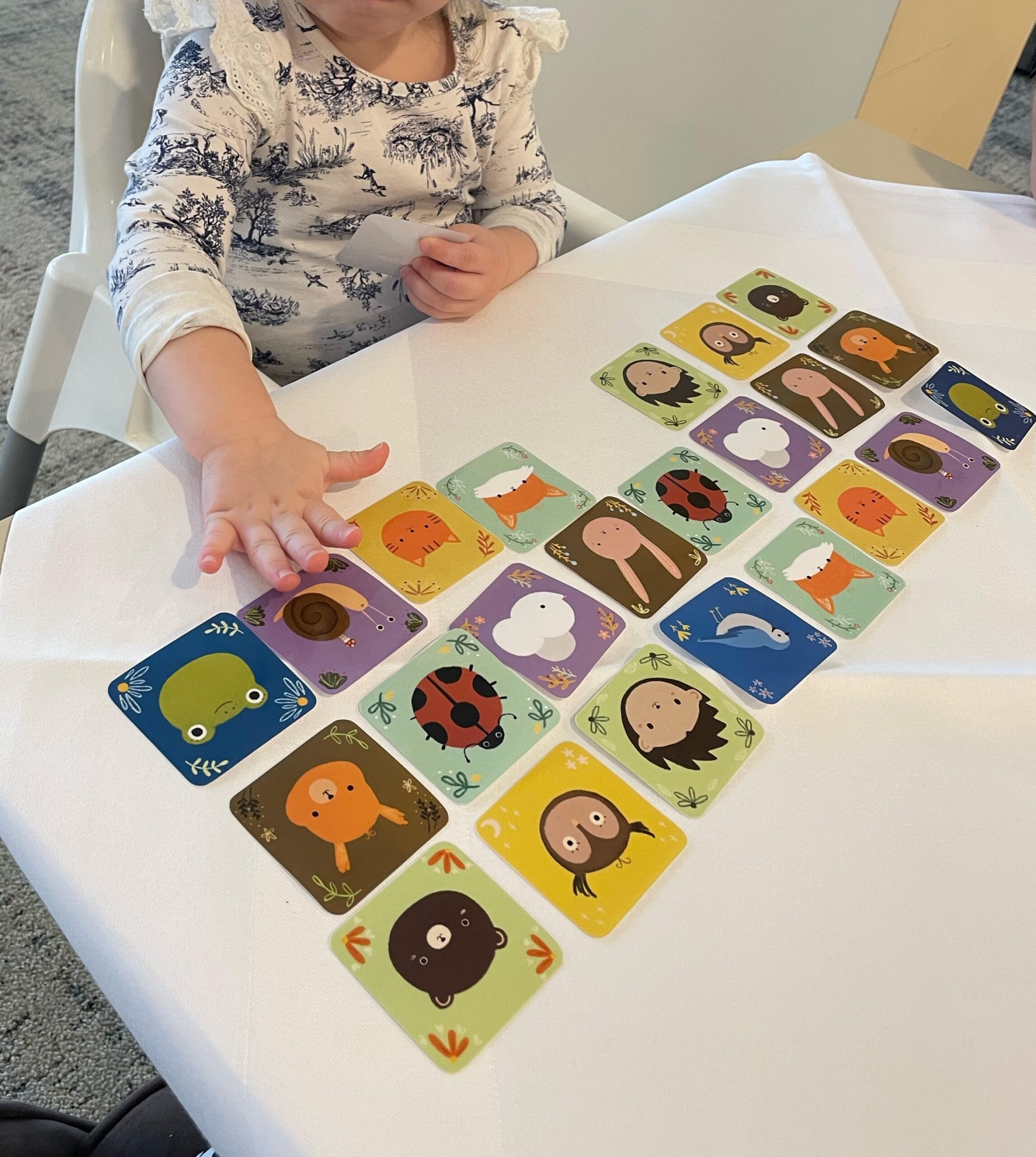 Színes flash kártyák állatokkal